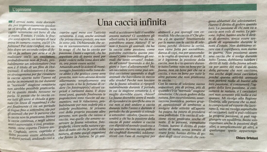 Newspaper clipping: "Una caccia infinita" (An endless hunt)