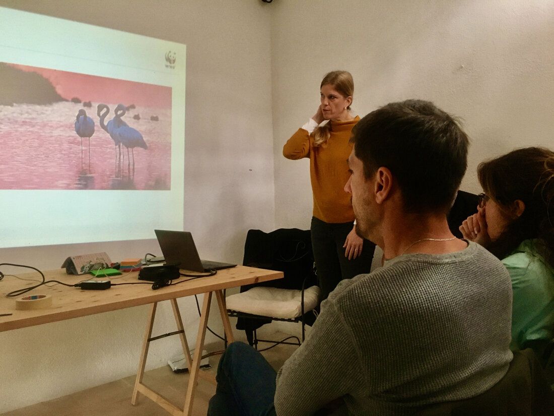 People in a room during a presentation, with a projection of flamingos